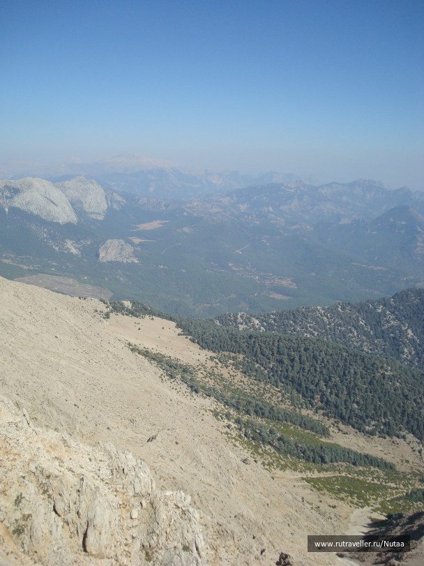 photo 66817