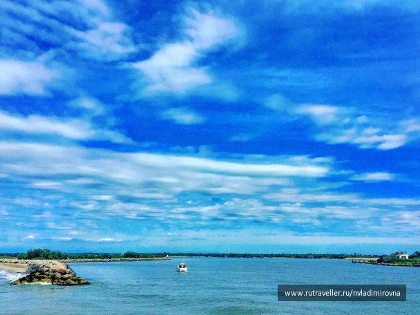 photo 1317578