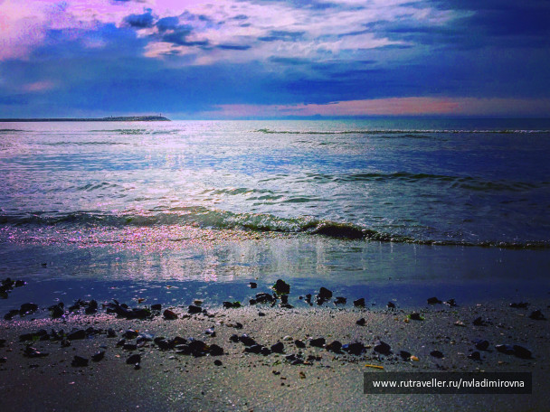 photo 1317581