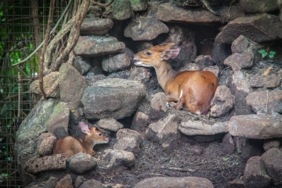 photo 300473