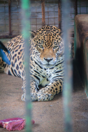 photo 300488