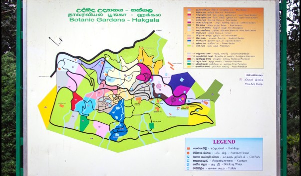 52e247767ce50.jpg