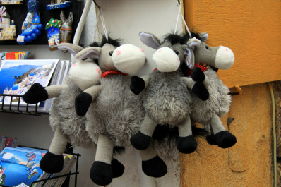 photo 335352
