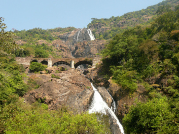 photo 246271