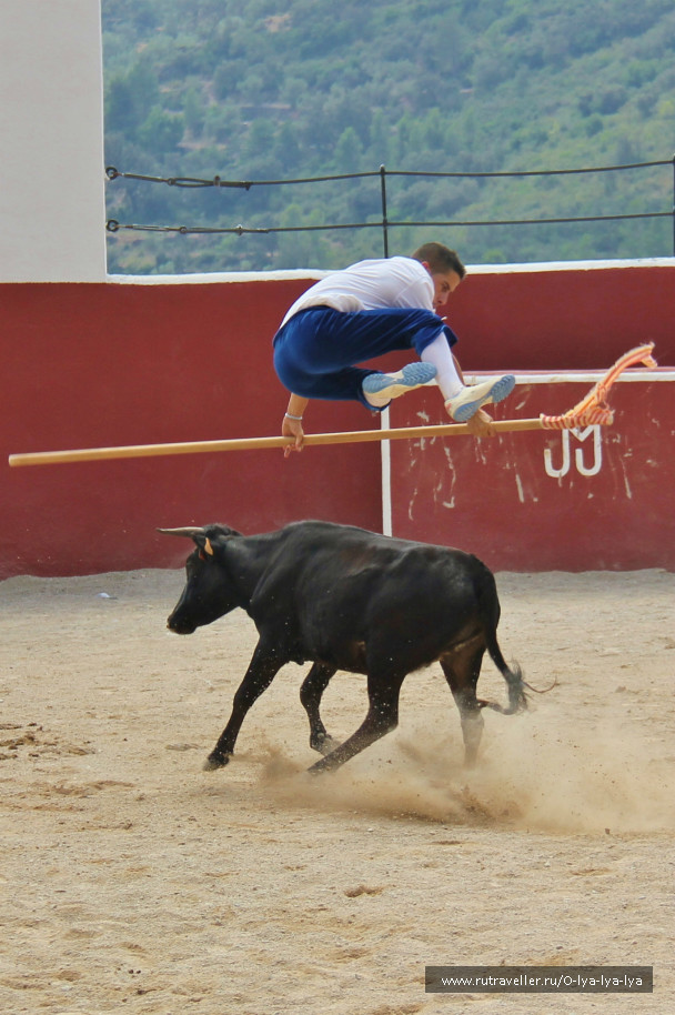 photo 252282