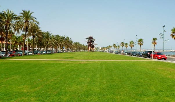 SAM_3788