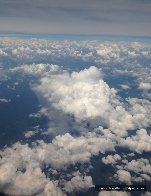 photo 1215895