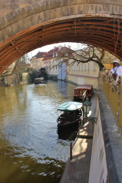 photo 1471343