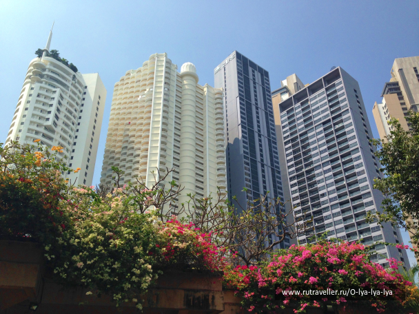 photo 1567186