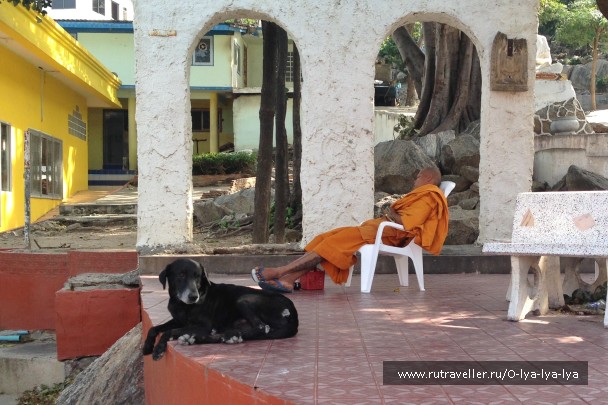 photo 1577727