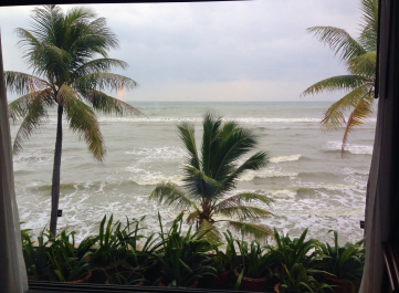 photo 1579716