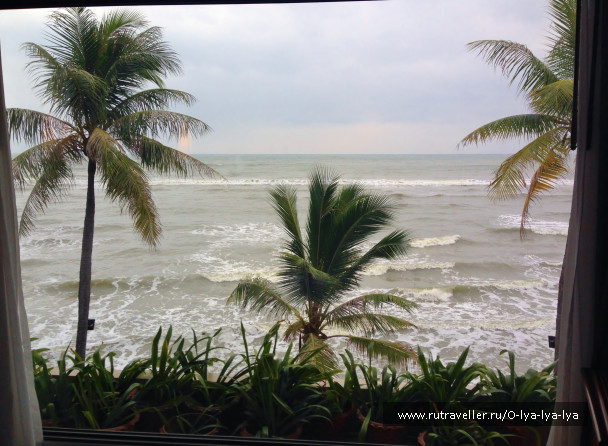 photo 1579716