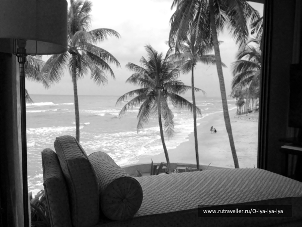 photo 1579717