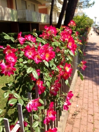 photo 1644901