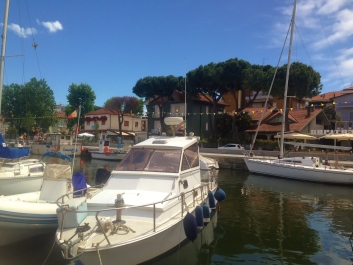 photo 1651016