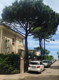 photo 1652732
