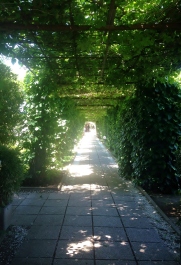 photo 1652736