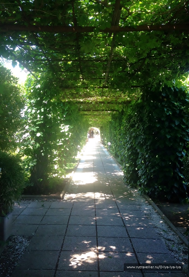 photo 1652736