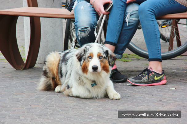 photo 1672756