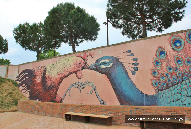 photo 1675734