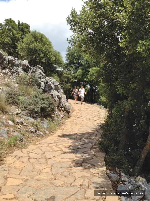 photo 1686139