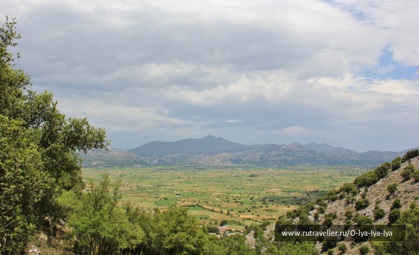 photo 1686437