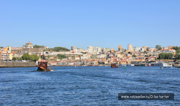 photo 1794166