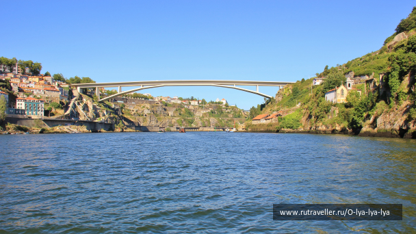 photo 1794168