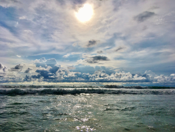 photo 1862313