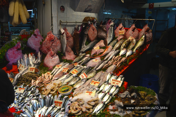 photo 291694