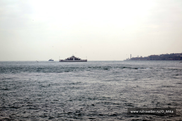 photo 291698