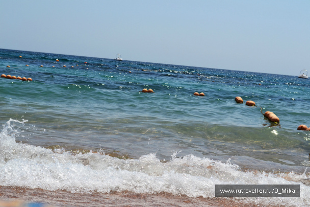 photo 291717