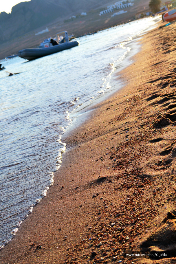 photo 291730