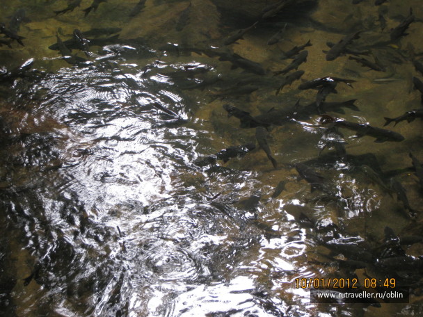 photo 254033