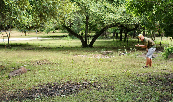 DSC03756