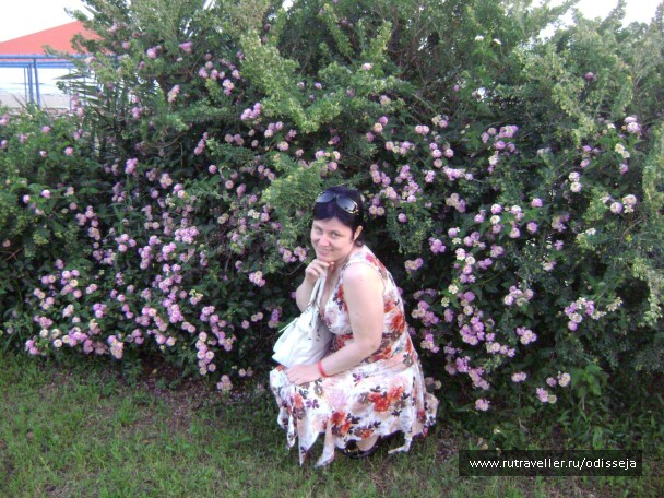 photo 18904