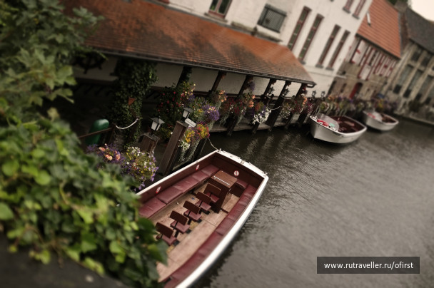 photo 225791