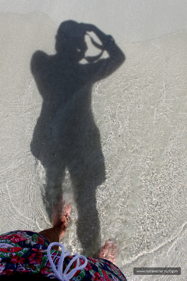 photo 372012
