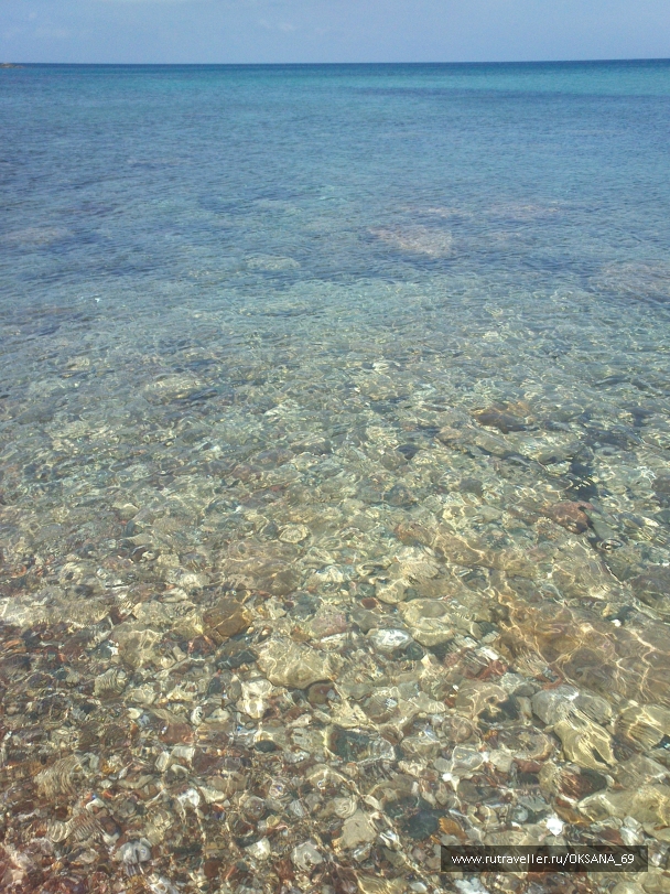 photo 748654