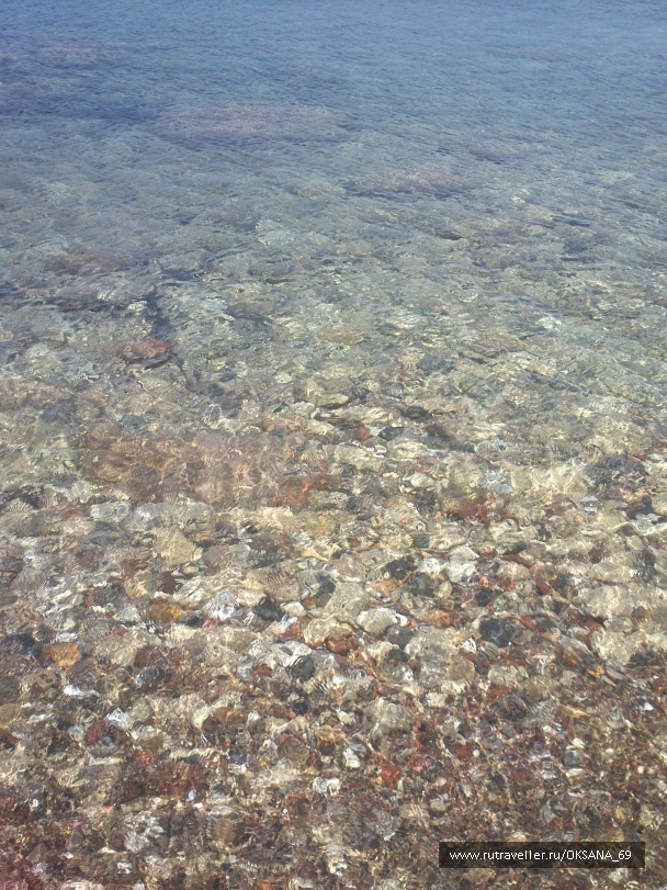 photo 748656