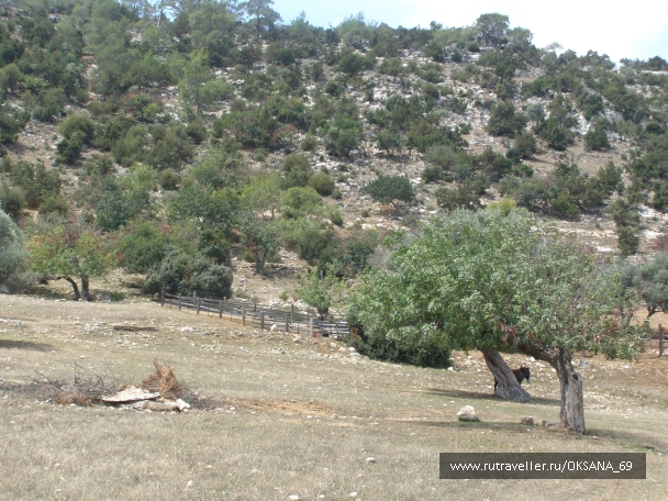 photo 748719