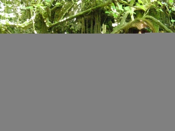 photo 749259
