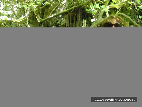 photo 749259