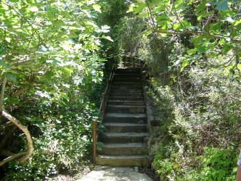 photo 749262