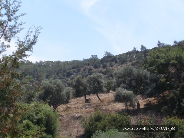 photo 749789