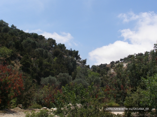 photo 749802