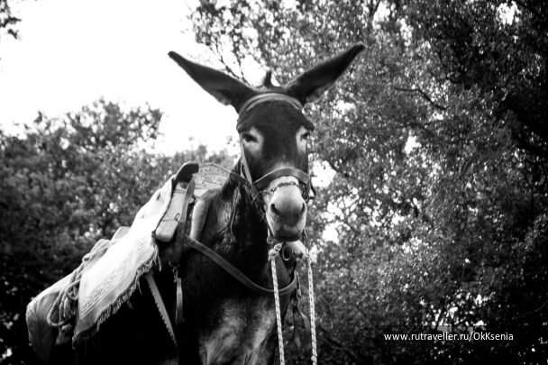 photo 1383638