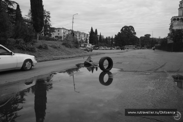 photo 1384868