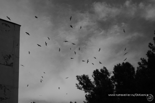 photo 1384903