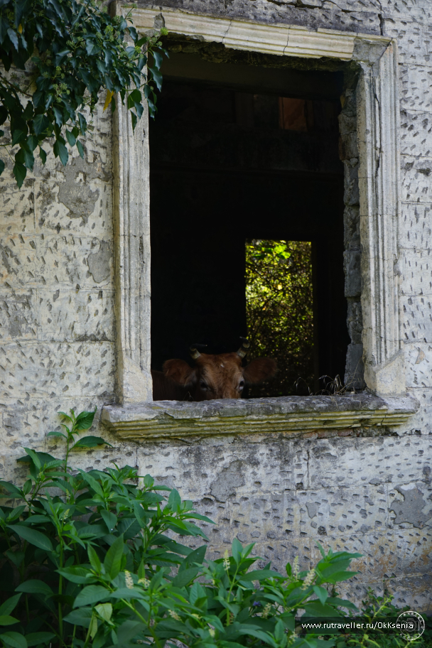 photo 1384915